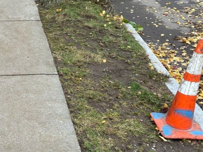 Why Fall Leaf Cleanups Are Critical For Your Property's Health