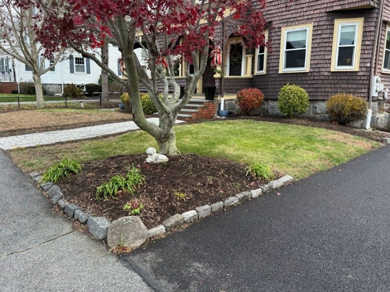 Winter Snow Removal: Protecting Your Walkways and Family