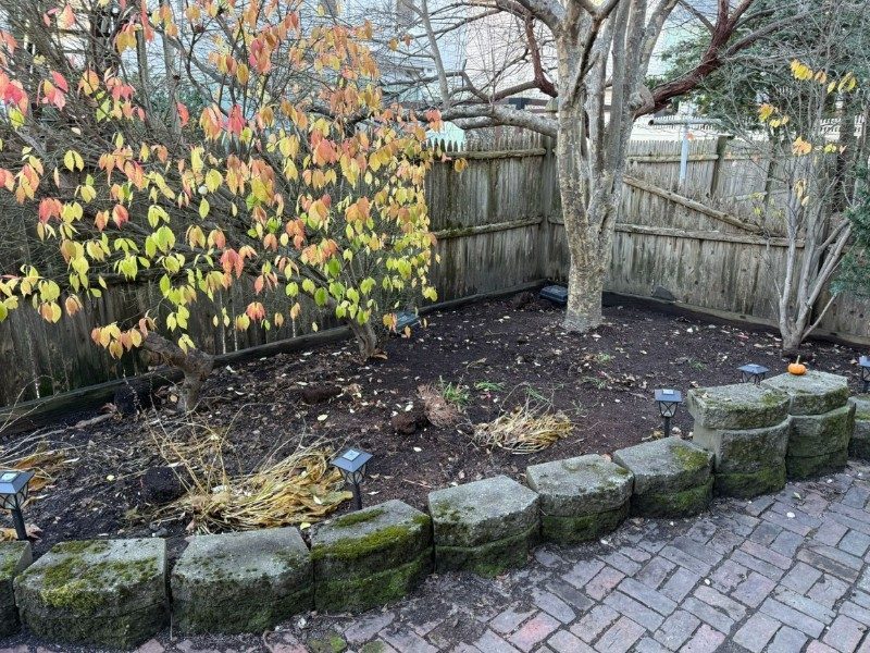 A Homeowner's Guide to Choosing the Right Mulch